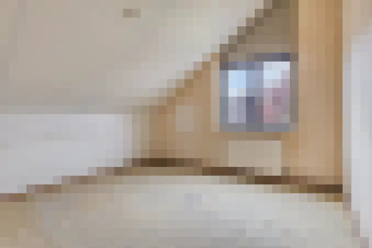 Deelshouten 1 Waalre thumbnail 20