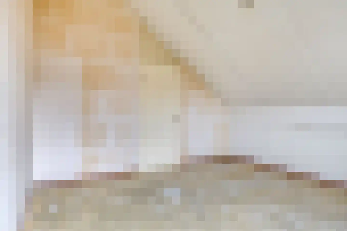 Deelshouten 1 Waalre thumbnail 21
