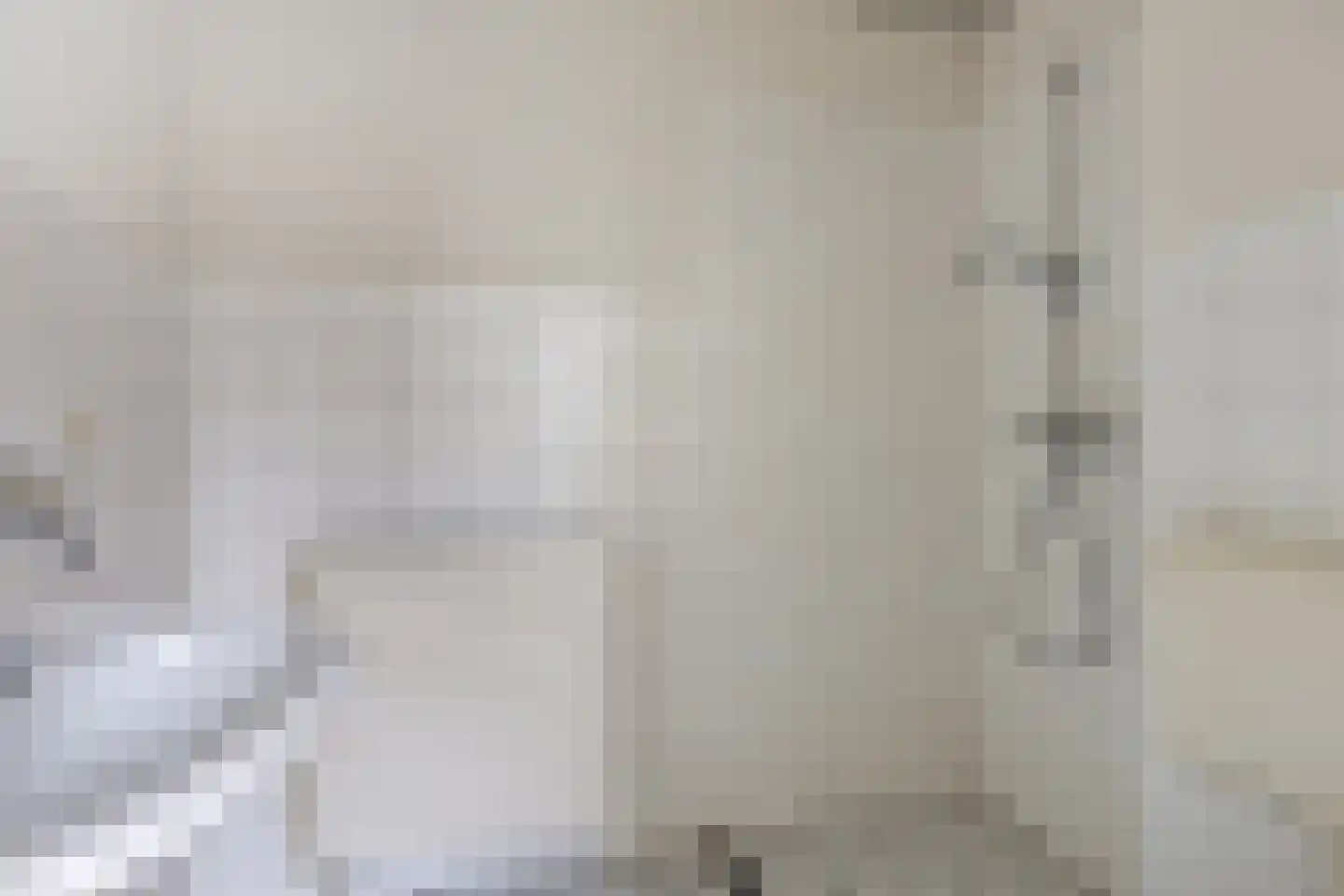 Deelshouten 1 Waalre thumbnail 23