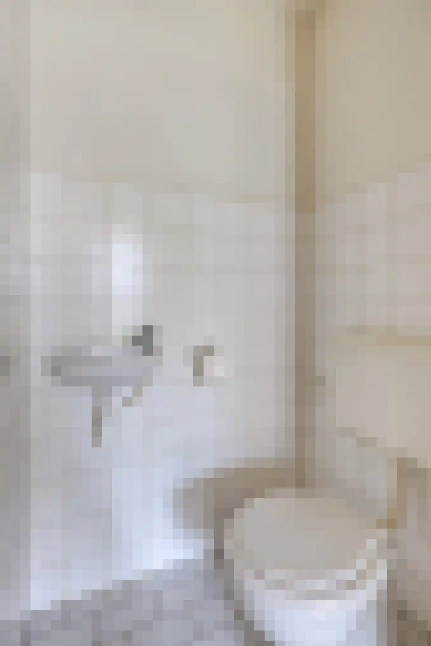 Deelshouten 1 Waalre thumbnail 6