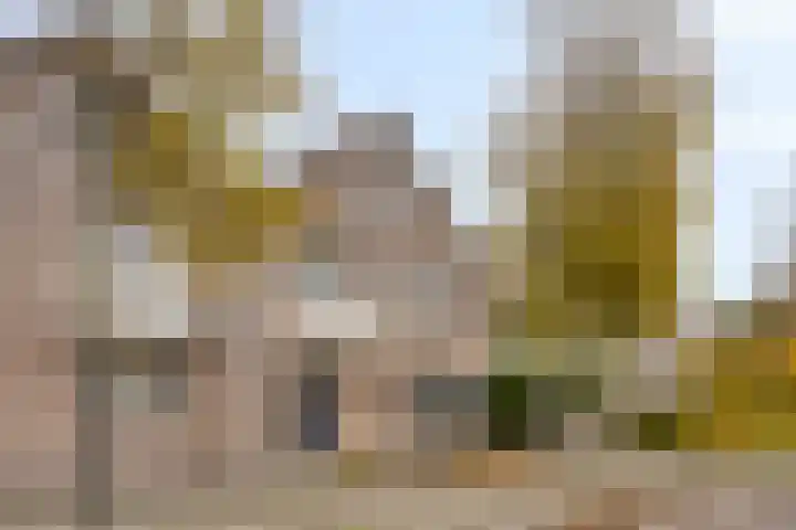 Deelshouten 2 Waalre