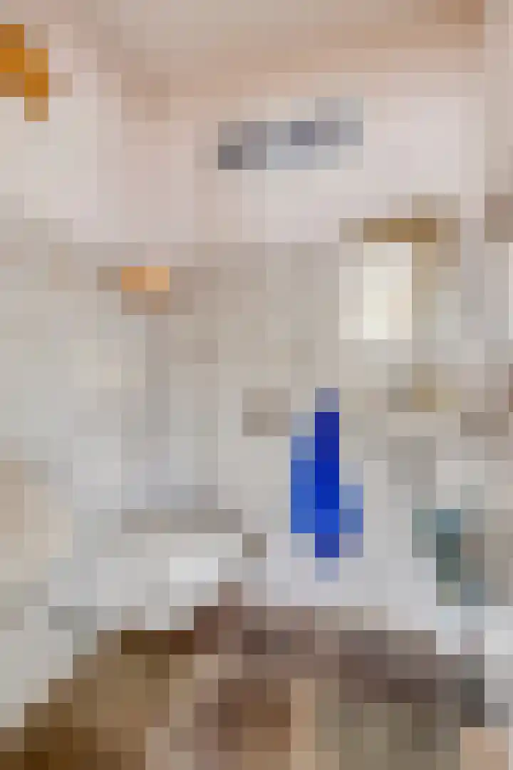 Deelshouten 2 Waalre thumbnail 10