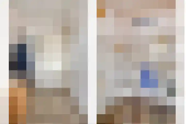Deelshouten 2 Waalre thumbnail 11