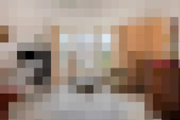 Deelshouten 2 Waalre thumbnail 12