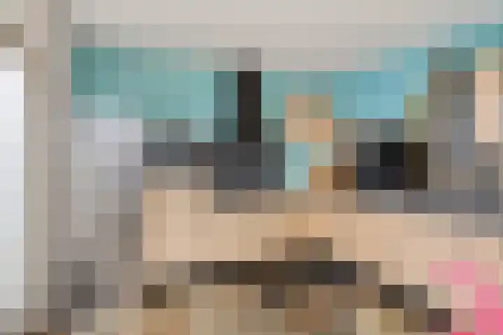 Deelshouten 2 Waalre thumbnail 20
