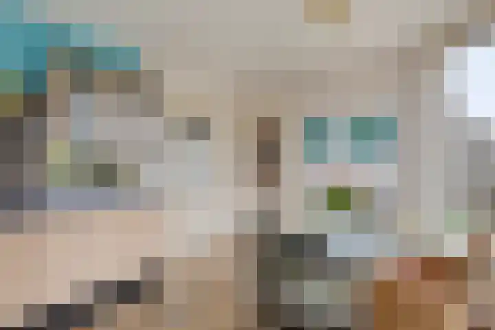 Deelshouten 2 Waalre thumbnail 21