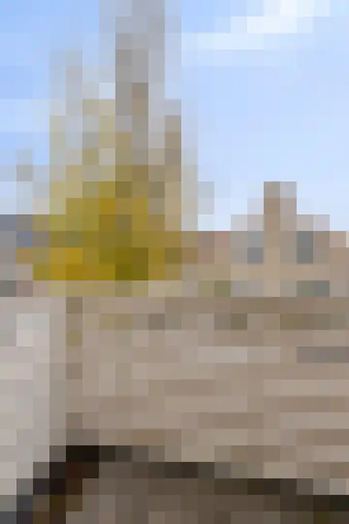 Deelshouten 2 Waalre thumbnail 26