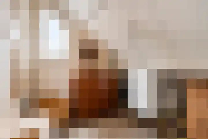 Deelshouten 2 Waalre thumbnail 34