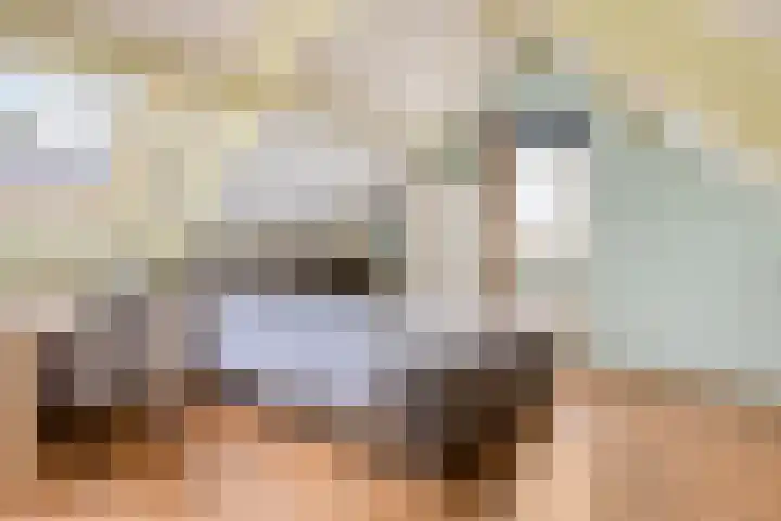 Deelshouten 2 Waalre thumbnail 35