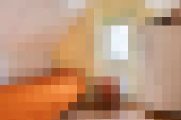 Deelshouten 2 Waalre thumbnail 37