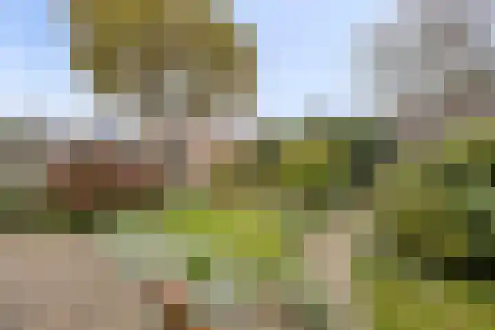 Deelshouten 2 Waalre thumbnail 39