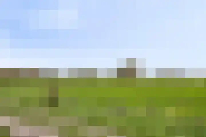 Deelshouten 2 Waalre thumbnail 42