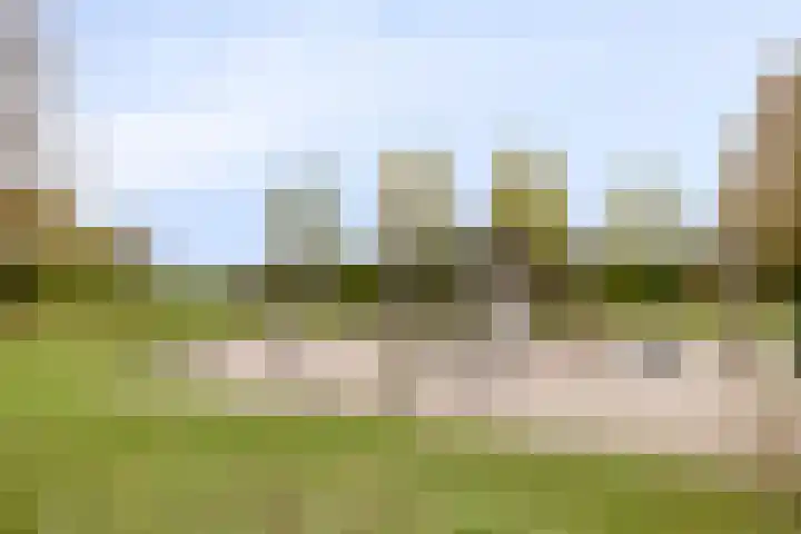 Deelshouten 2 Waalre thumbnail 43
