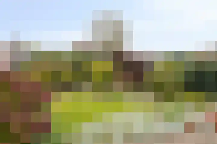 Deelshouten 2 Waalre thumbnail 6