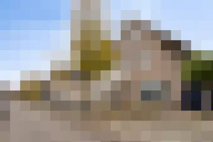 Deelshouten 2 Waalre thumbnail 7