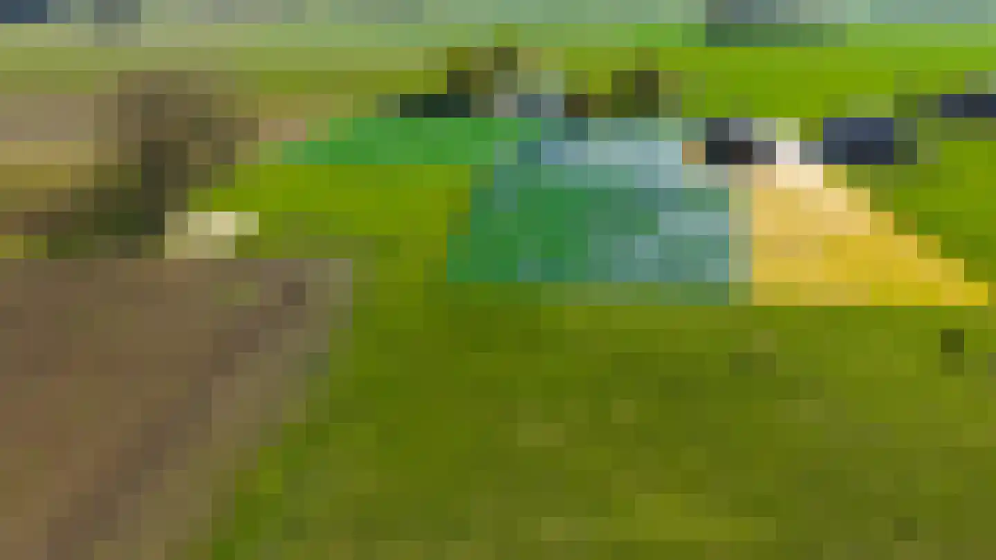 Deelsum 17 A Loenen thumbnail 28