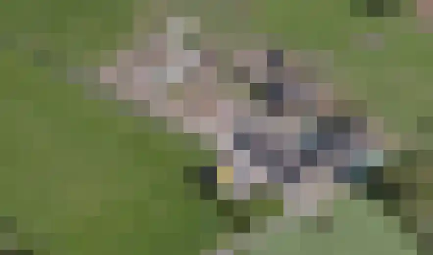 Deelsum 17 A Loenen thumbnail 29