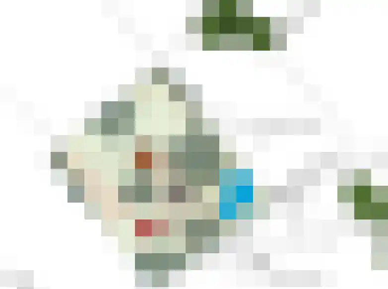 Deelsum 17 A Loenen thumbnail 4