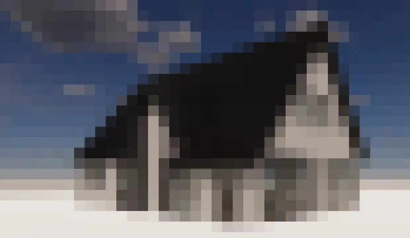 Deelsum 17 A Loenen thumbnail 8
