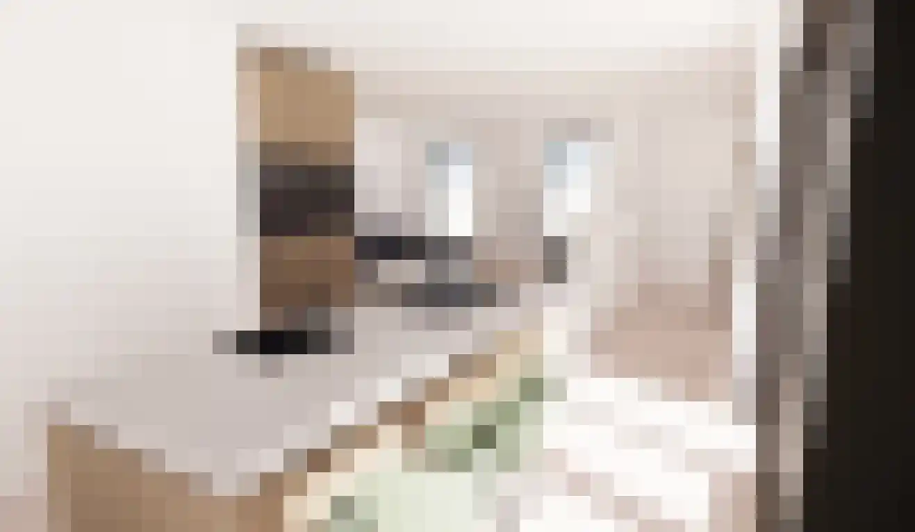 Deelsum 17 B Loenen thumbnail 13