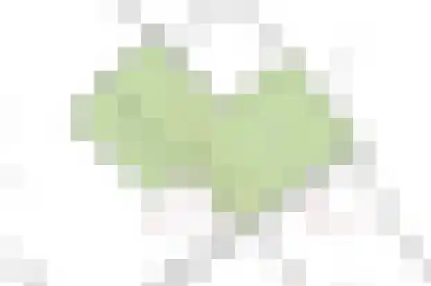 Deelsum 17 B Loenen thumbnail 25
