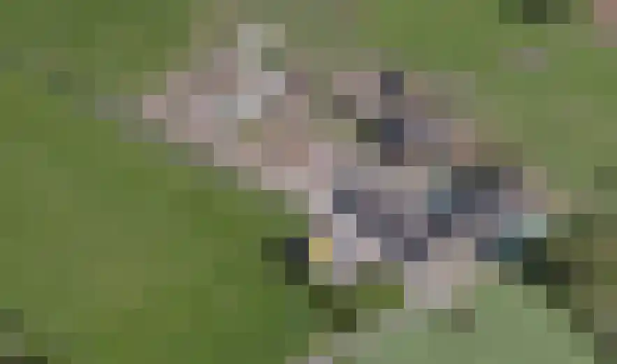 Deelsum 17 B Loenen thumbnail 29