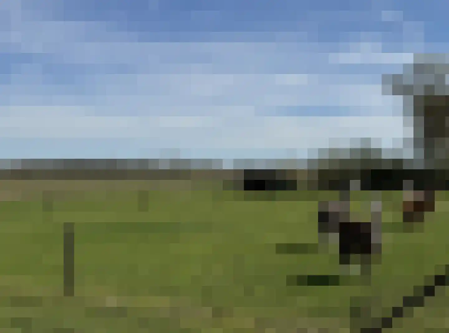 Deelsum 17 B Loenen thumbnail 38