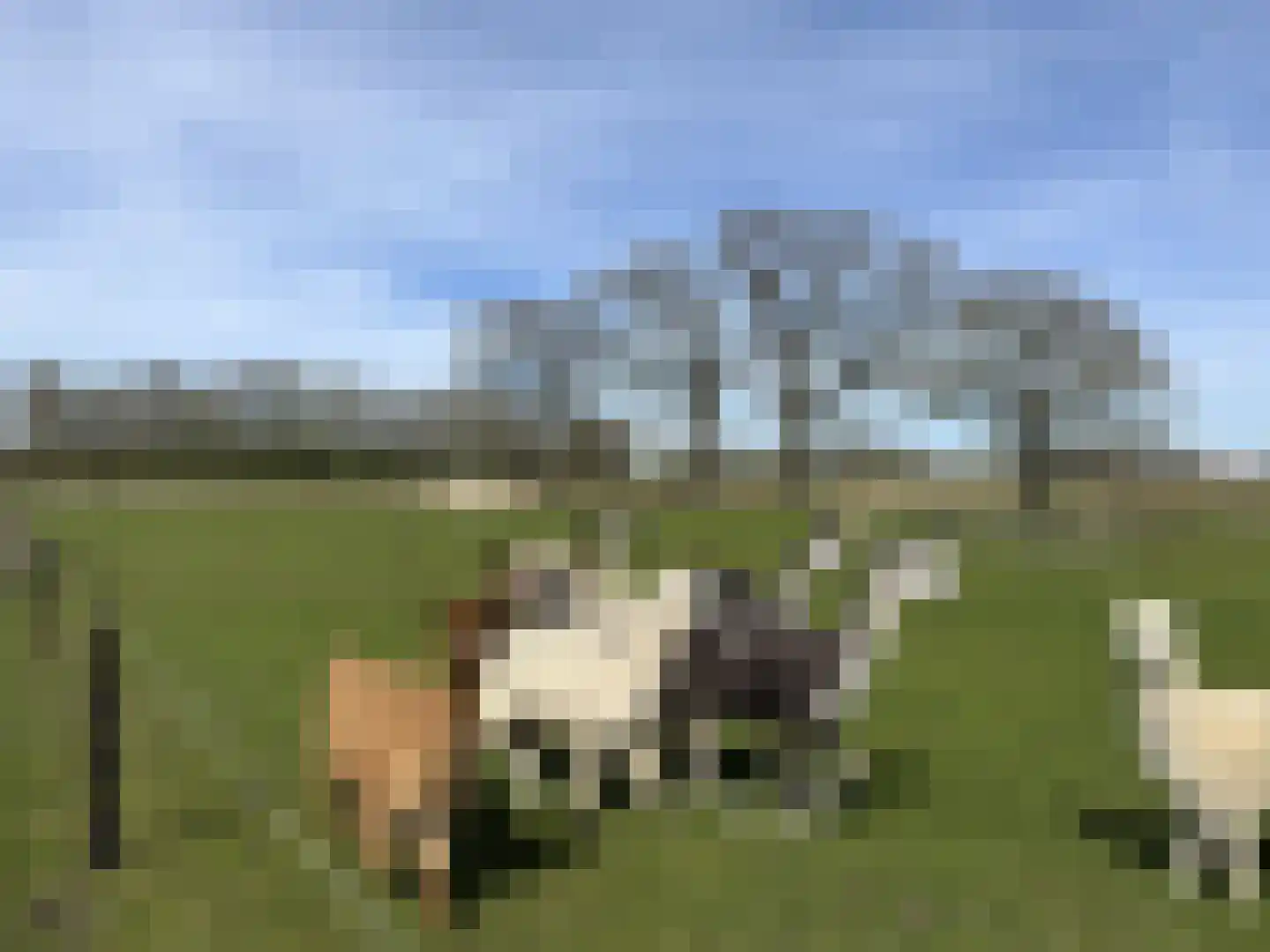 Deelsum 17 B Loenen thumbnail 40