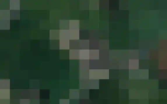 Deelsum 17 B Loenen thumbnail 6