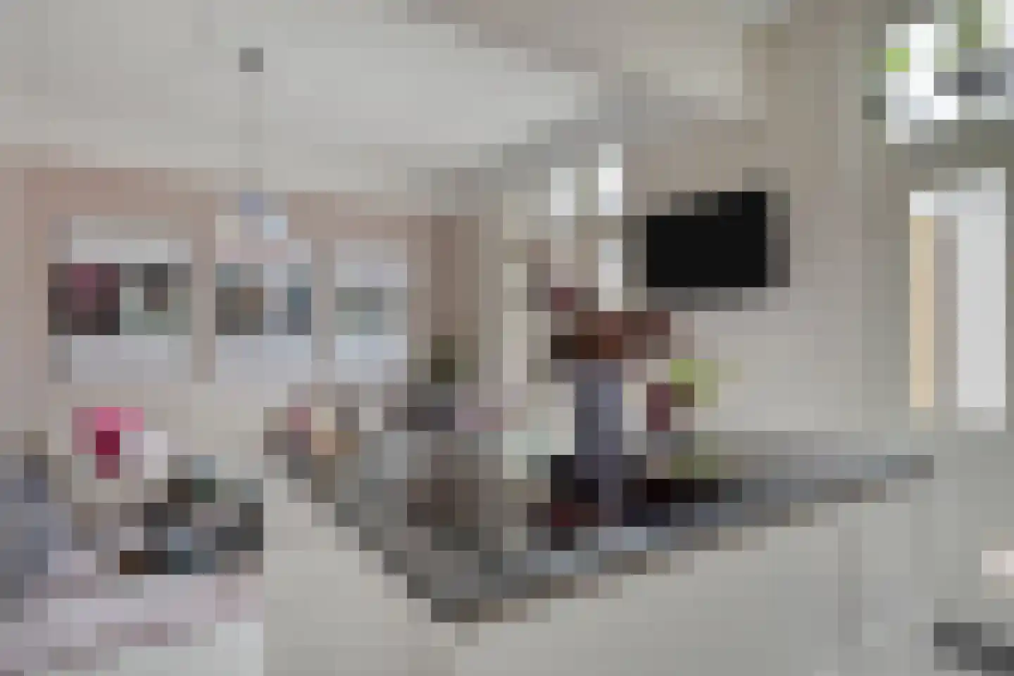 Deemselstraat 10 Roermond thumbnail 10