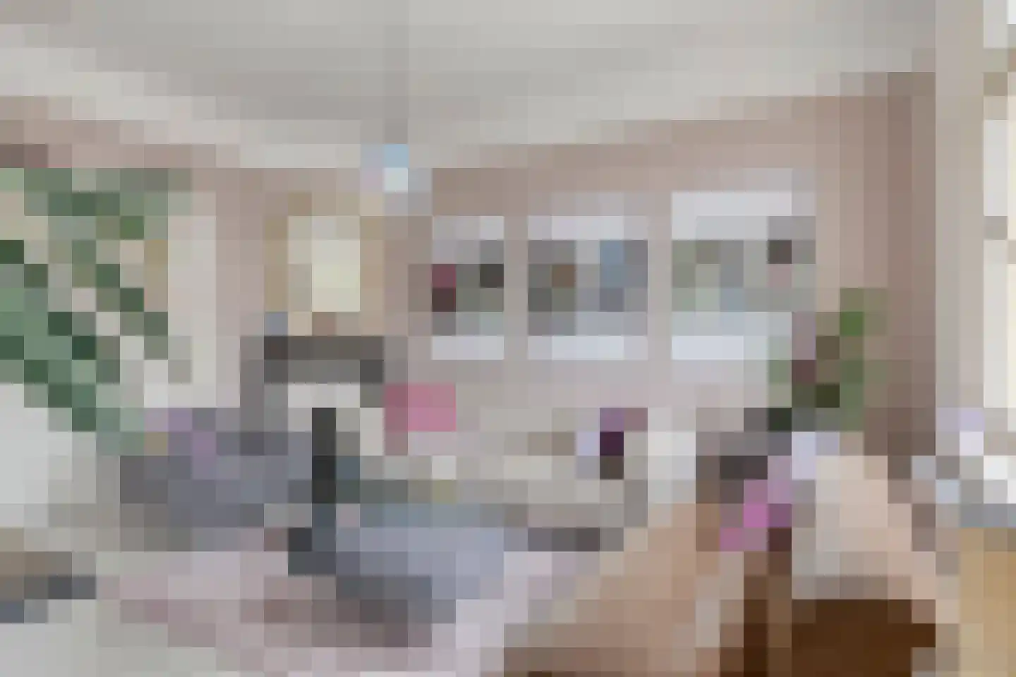 Deemselstraat 10 Roermond thumbnail 11