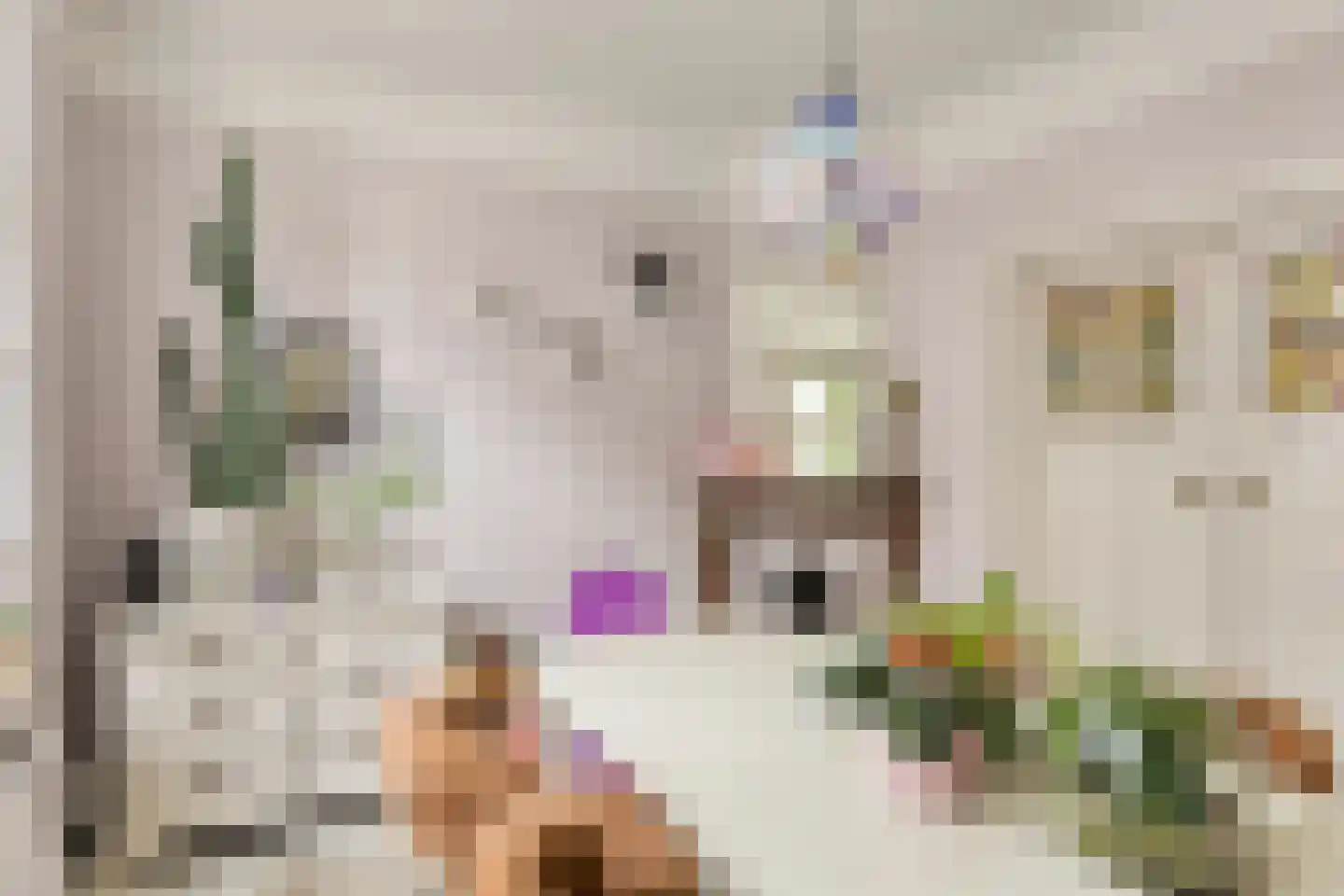 Deemselstraat 10 Roermond thumbnail 16