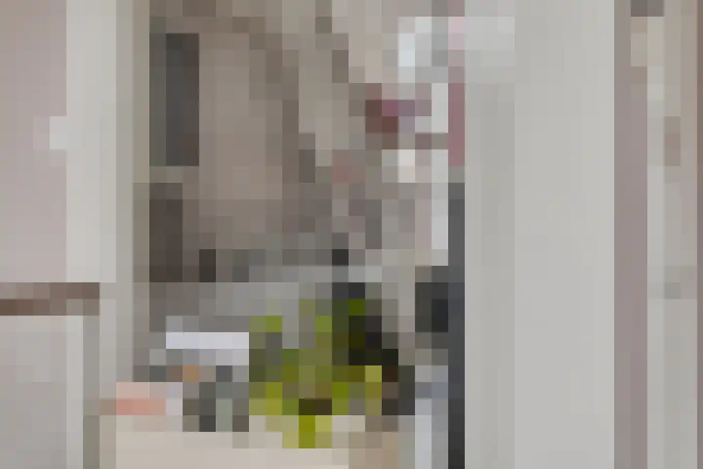 Deemselstraat 10 Roermond thumbnail 19