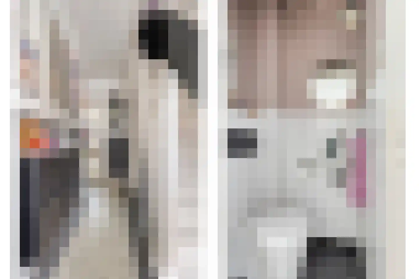Deemselstraat 10 Roermond thumbnail 20