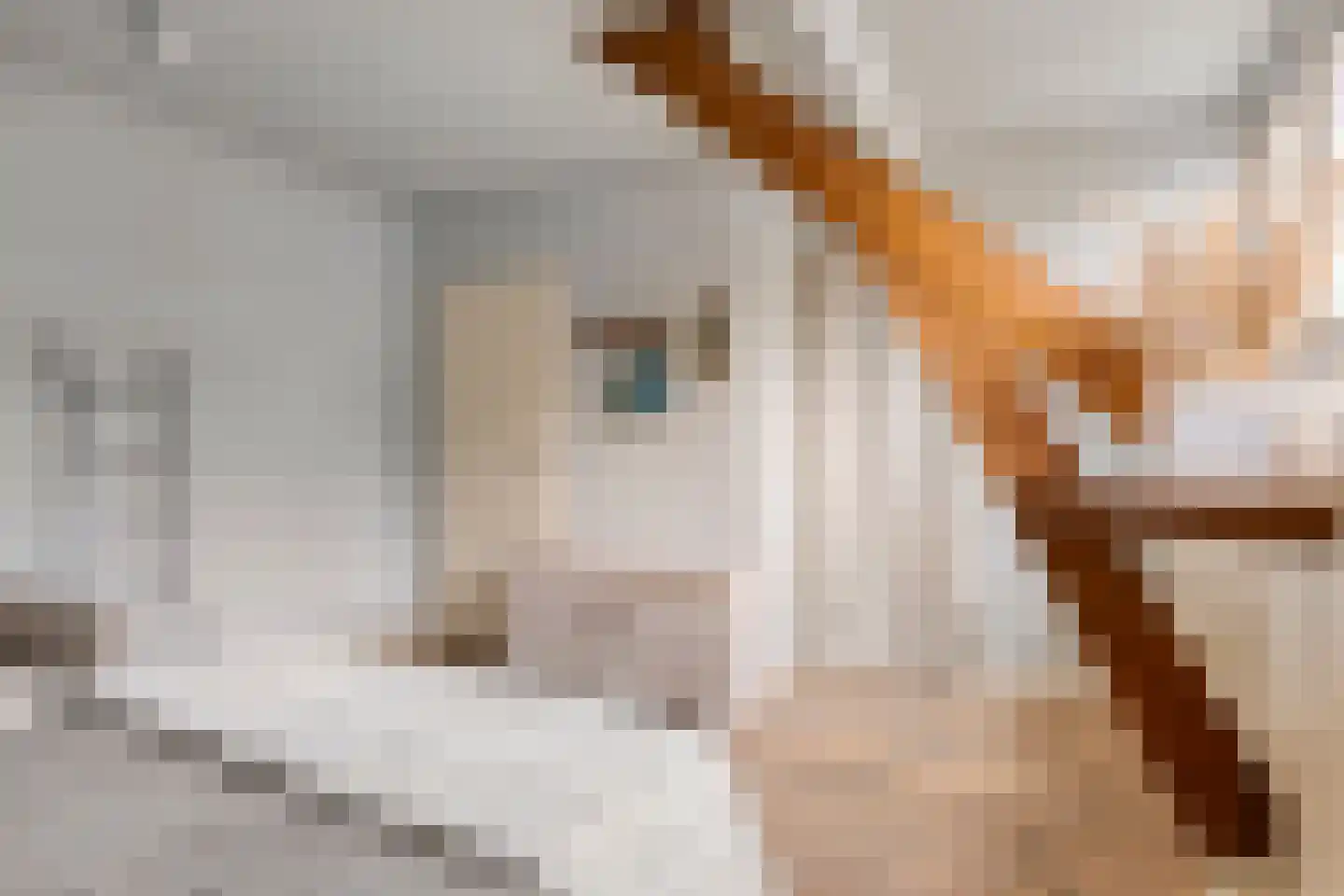 Deemselstraat 10 Roermond thumbnail 33