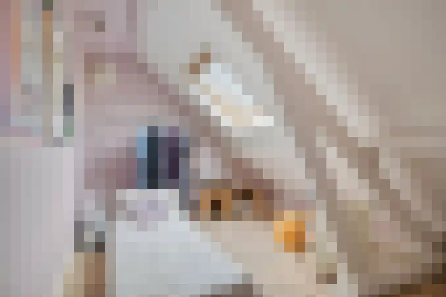 Deemselstraat 10 Roermond thumbnail 36