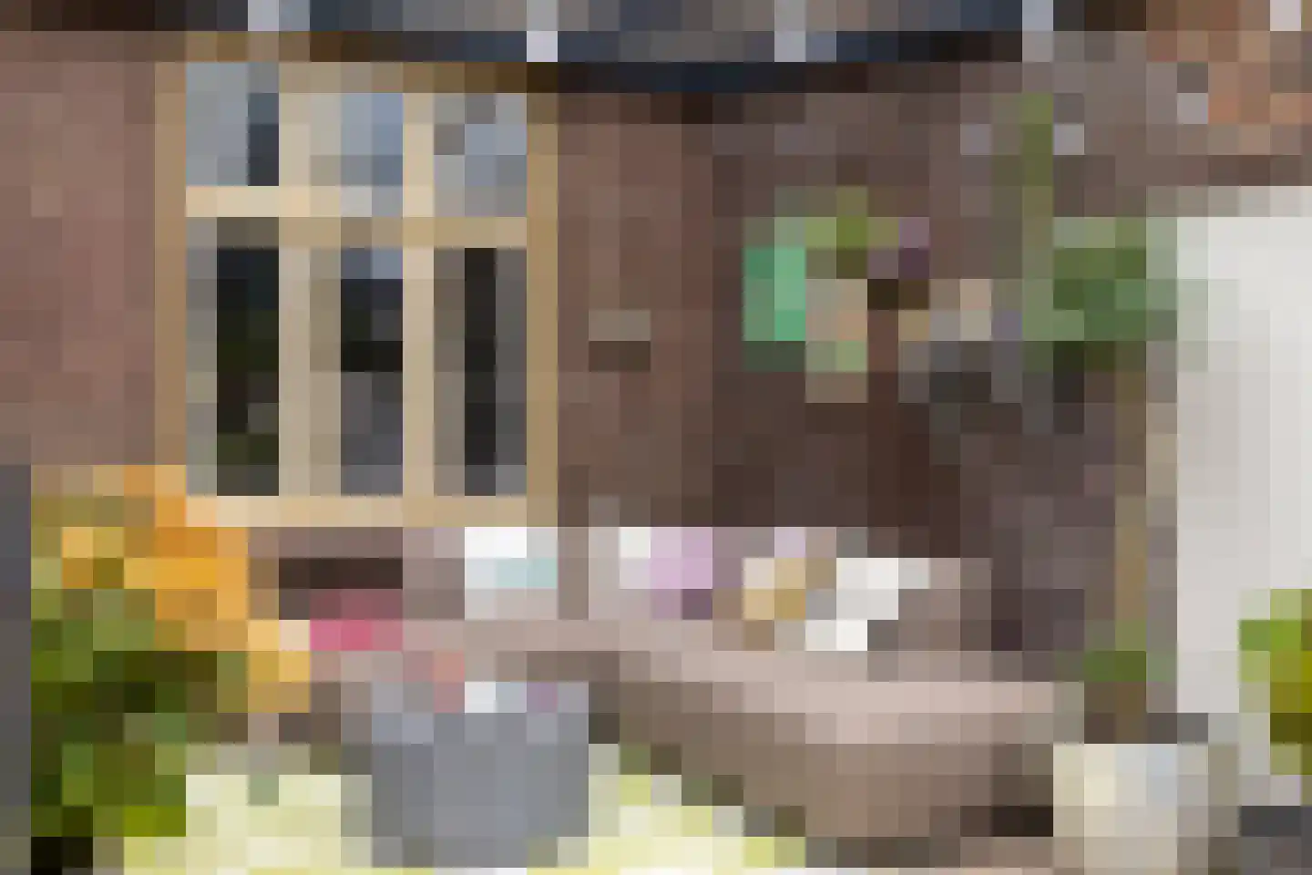 Deemselstraat 10 Roermond thumbnail 39