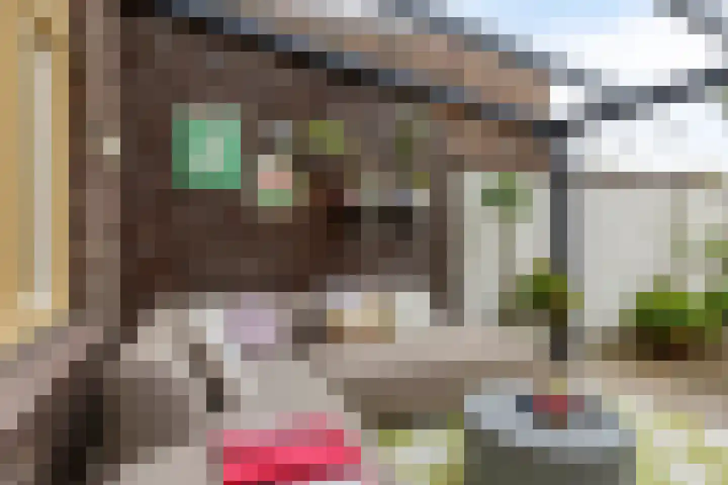 Deemselstraat 10 Roermond thumbnail 40