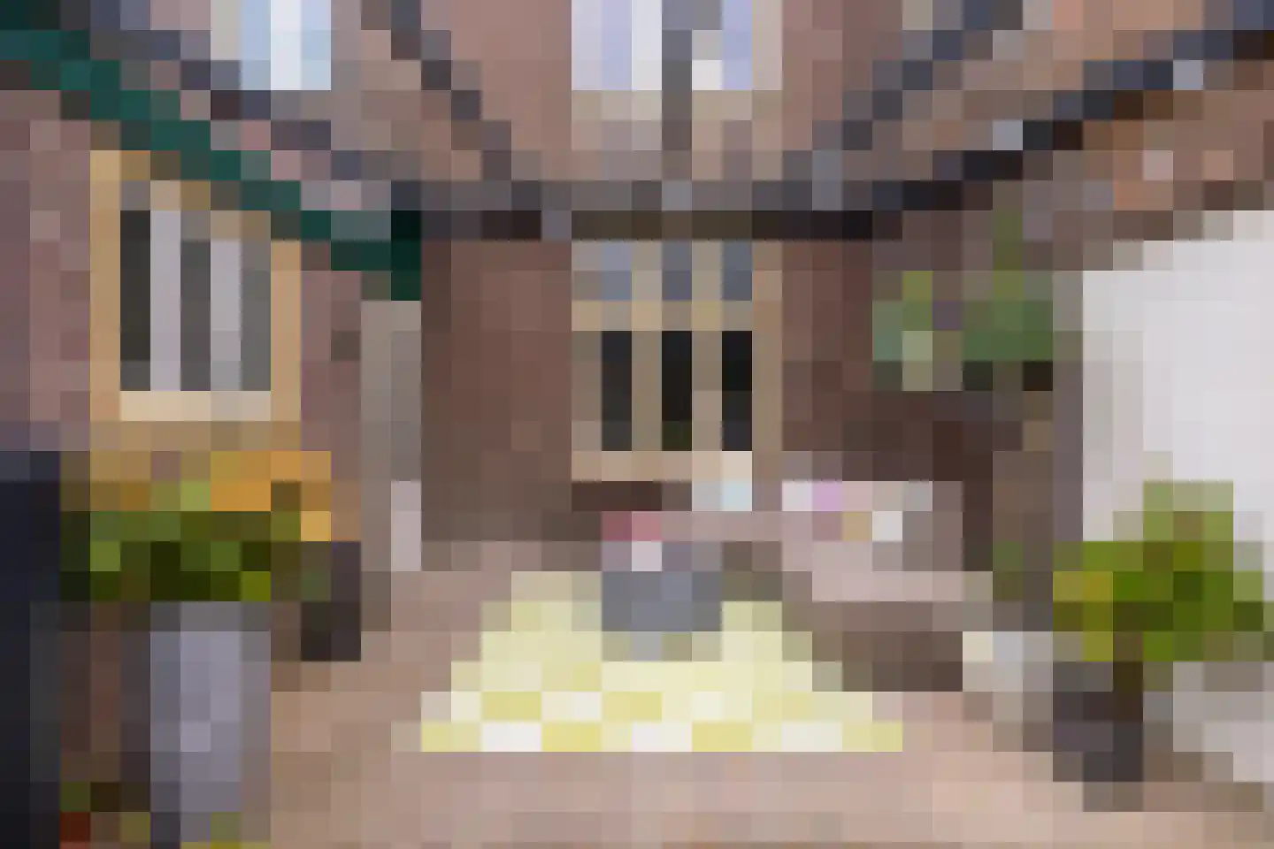 Deemselstraat 10 Roermond thumbnail 41