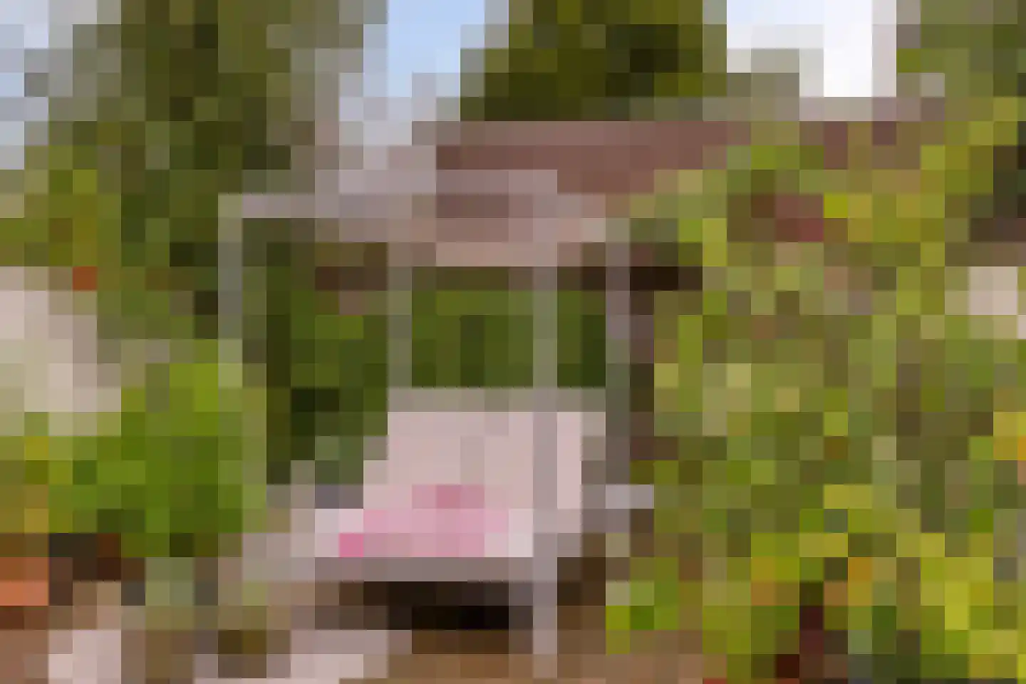 Deemselstraat 10 Roermond thumbnail 44