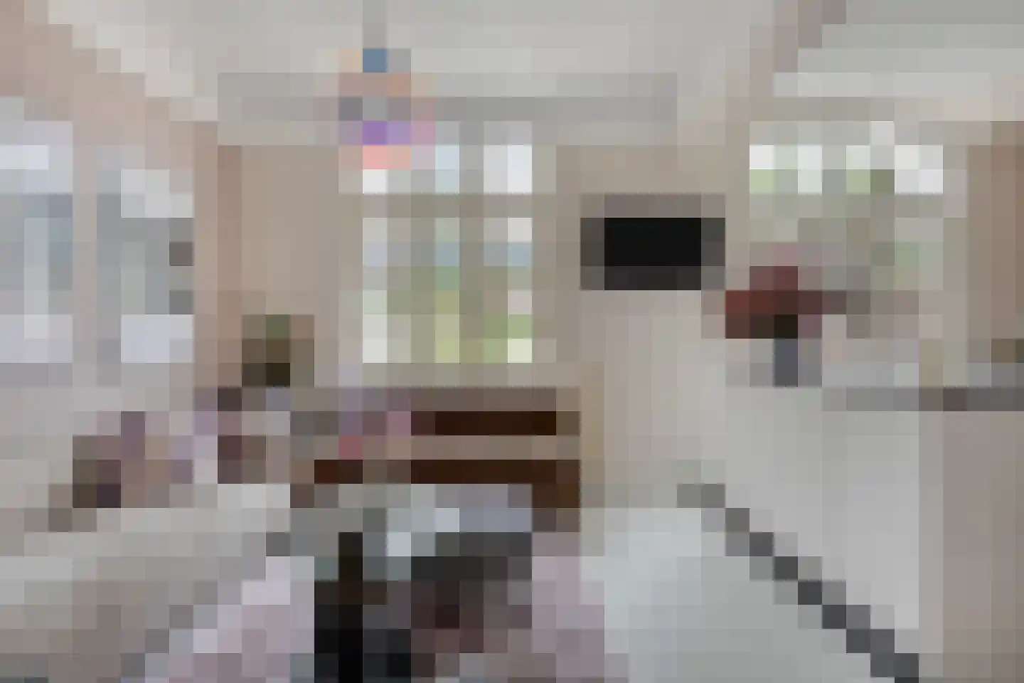 Deemselstraat 10 Roermond thumbnail 6