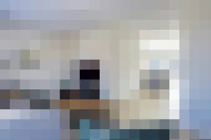 Deenendries 21 Hulsel thumbnail 10