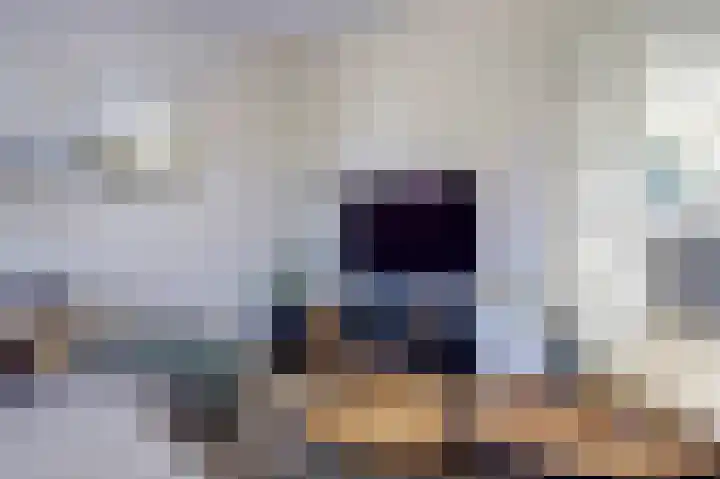 Deenendries 21 Hulsel thumbnail 11