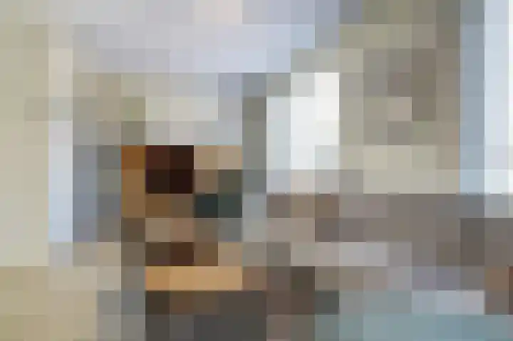 Deenendries 21 Hulsel thumbnail 12
