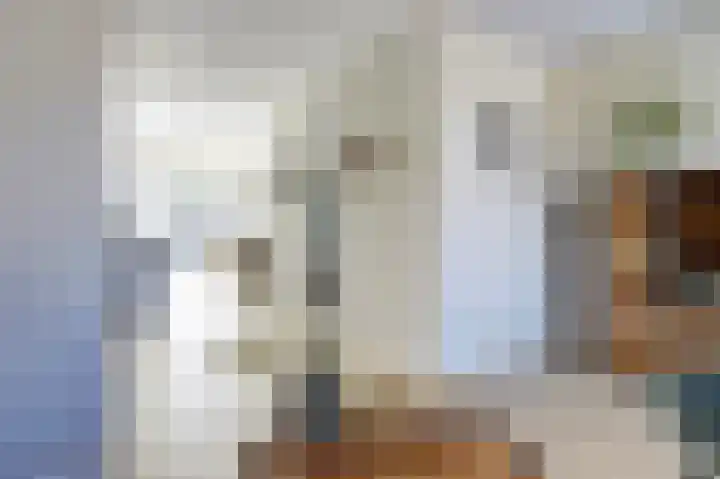 Deenendries 21 Hulsel thumbnail 13