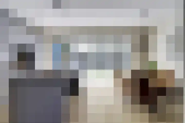 Deenendries 21 Hulsel thumbnail 14