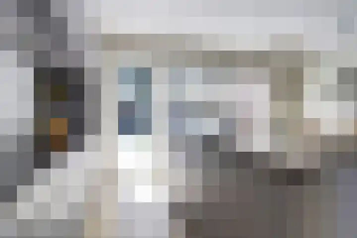 Deenendries 21 Hulsel thumbnail 16