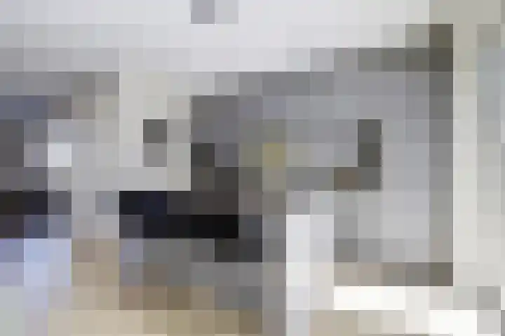 Deenendries 21 Hulsel thumbnail 18