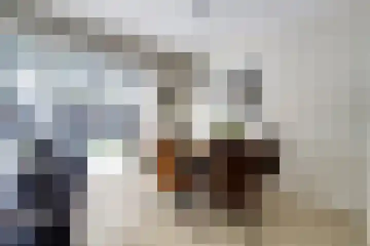 Deenendries 21 Hulsel thumbnail 20
