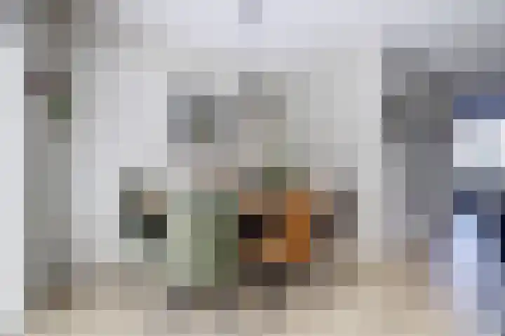 Deenendries 21 Hulsel thumbnail 21
